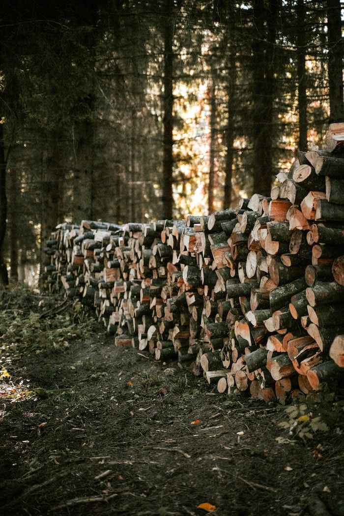 Brennholz richtig lagern
