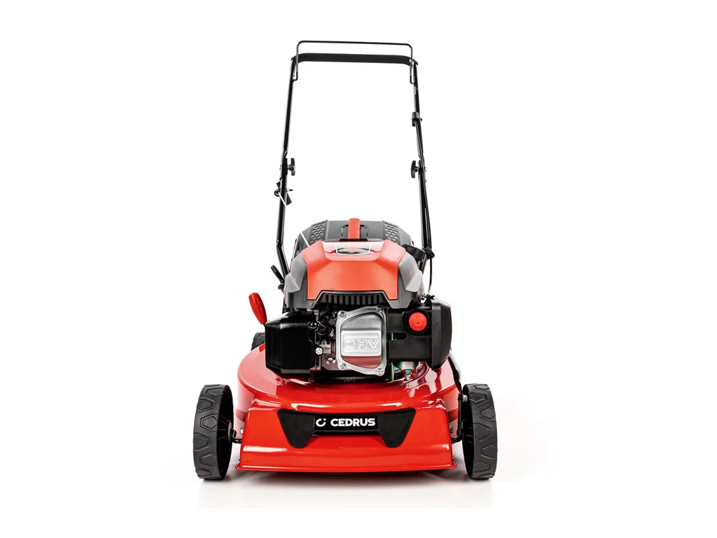 Hahn & Sohn Cedrus KS42S