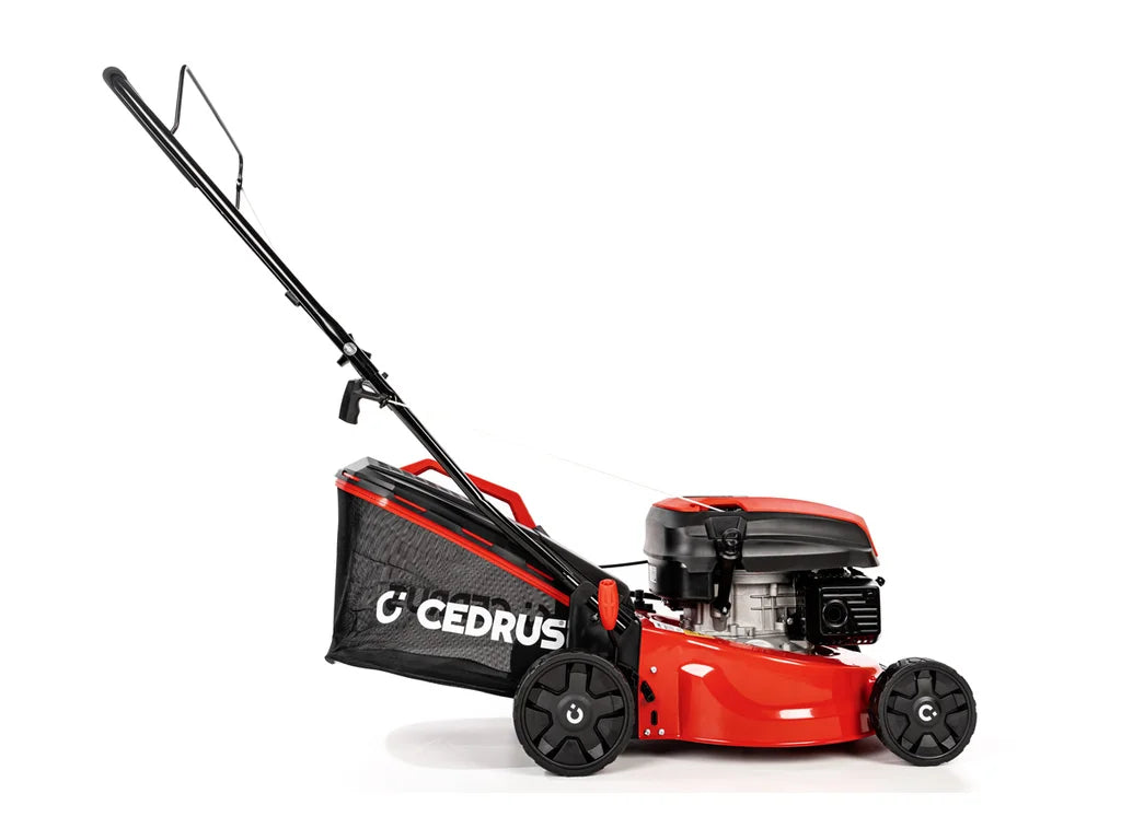 Hahn & Sohn Cedrus KS42S