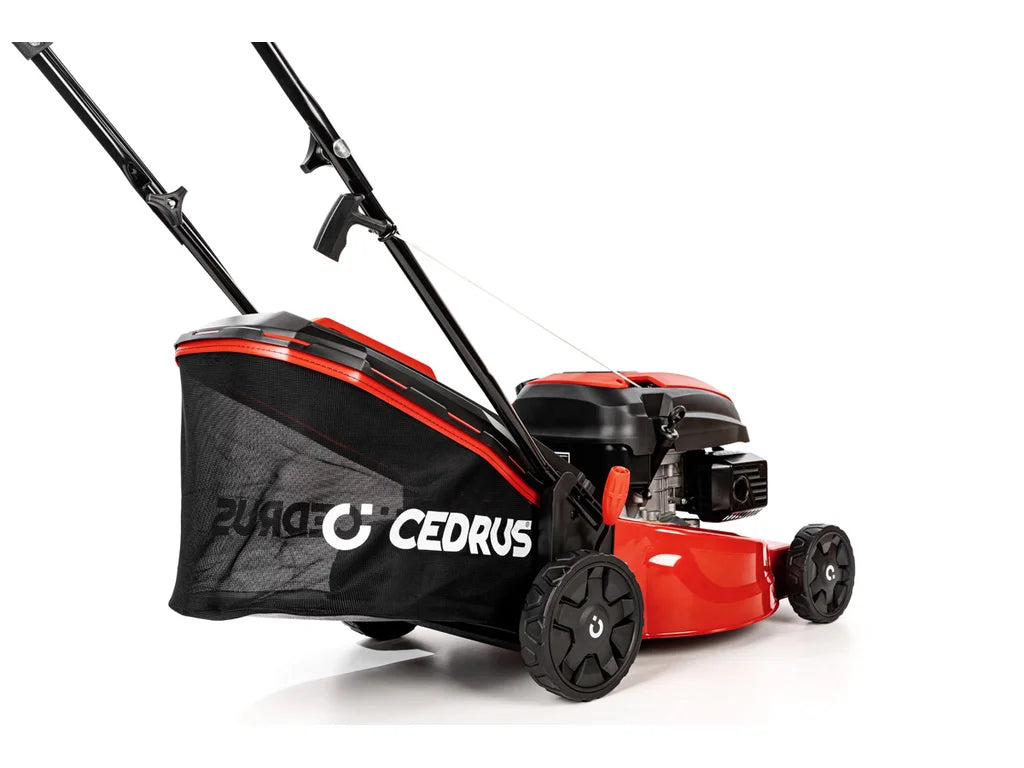 Hahn & Sohn Cedrus KS42S