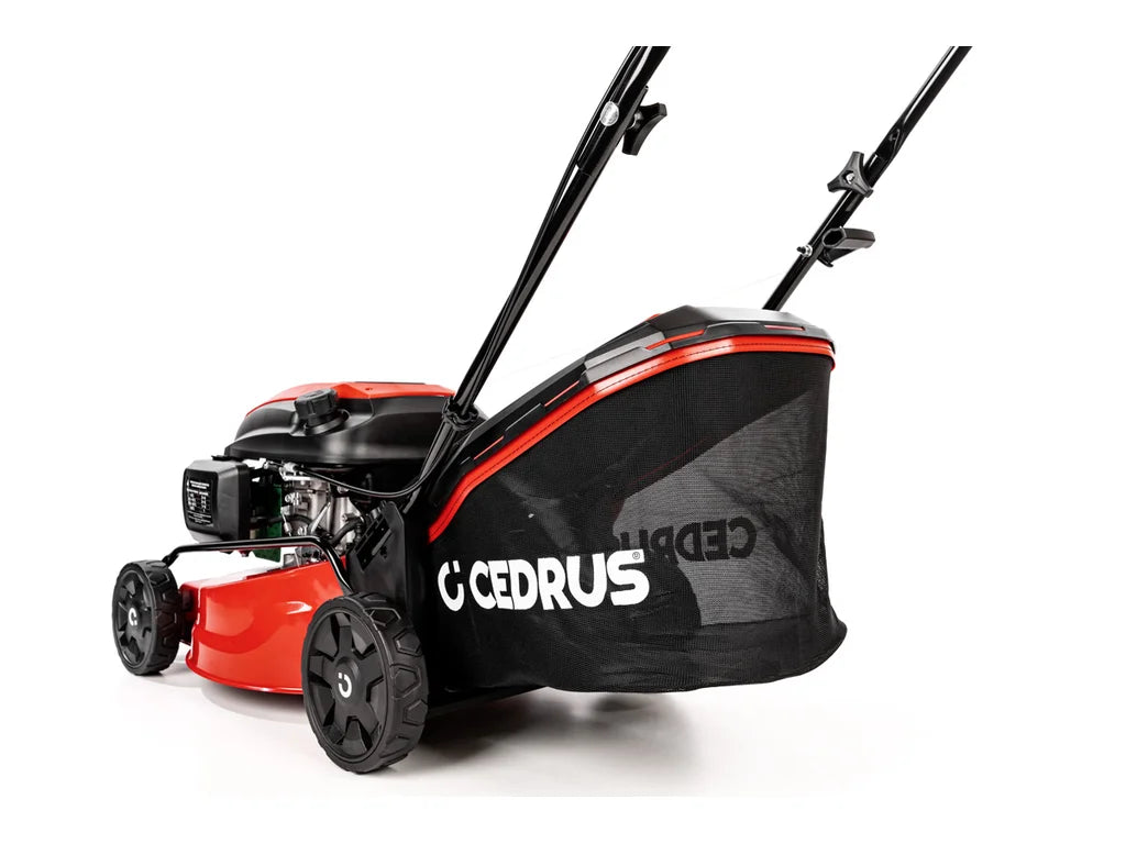 Hahn & Sohn Cedrus KS42