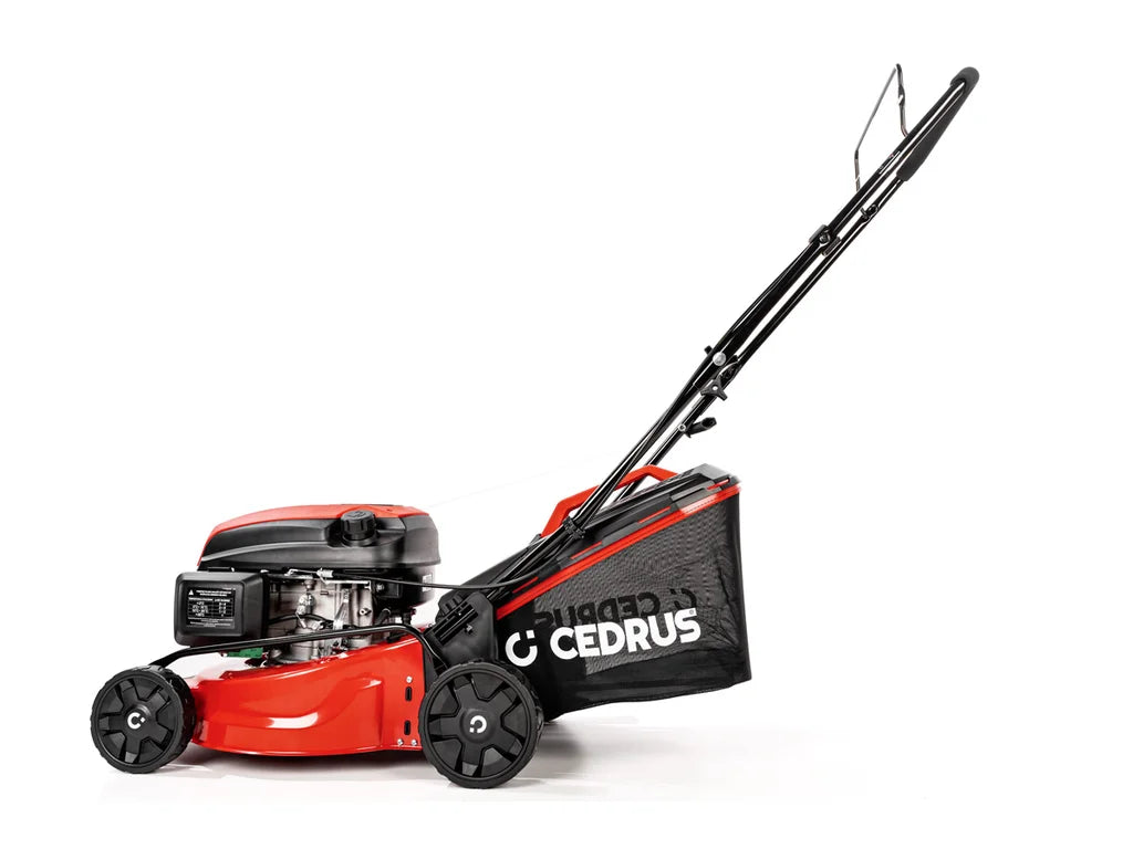 Hahn & Sohn Cedrus KS42