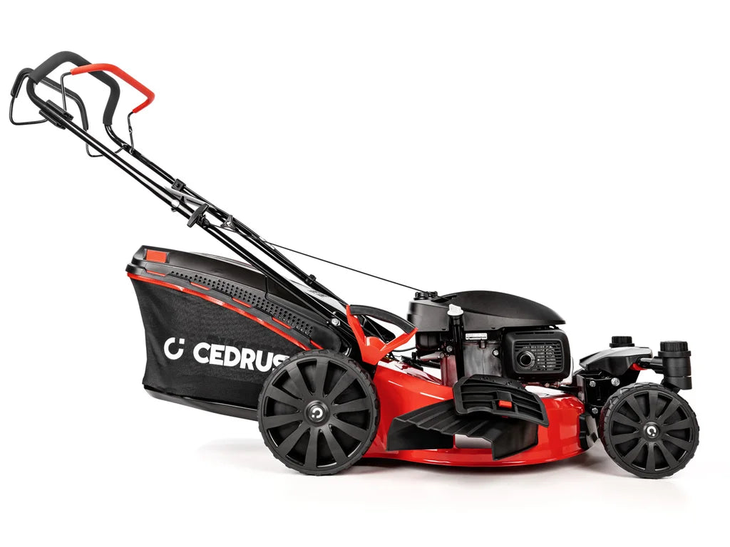 Hahn & Sohn Cedrus KS51S-H-ZT