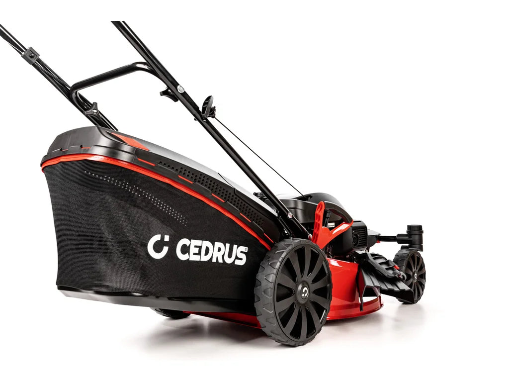 Hahn & Sohn Cedrus KS51S-H-ZT