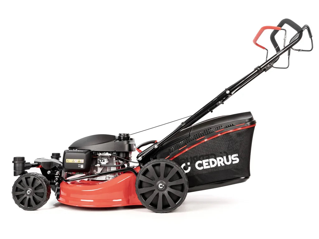 Hahn & Sohn Cedrus KS51S-H-ZT