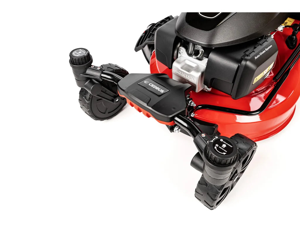 Hahn & Sohn Cedrus KS51S-H-ZT