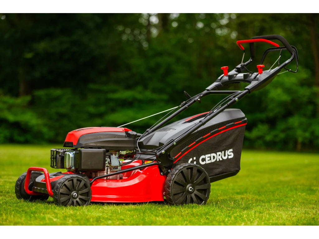 Hahn & Sohn Cedrus KS53S