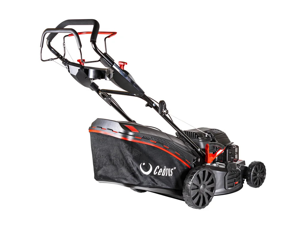 Hahn & Sohn Cedrus KS53S