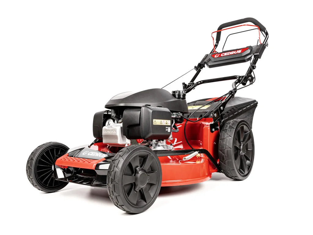 Hahn & Sohn Cedrus KS53S-H AL