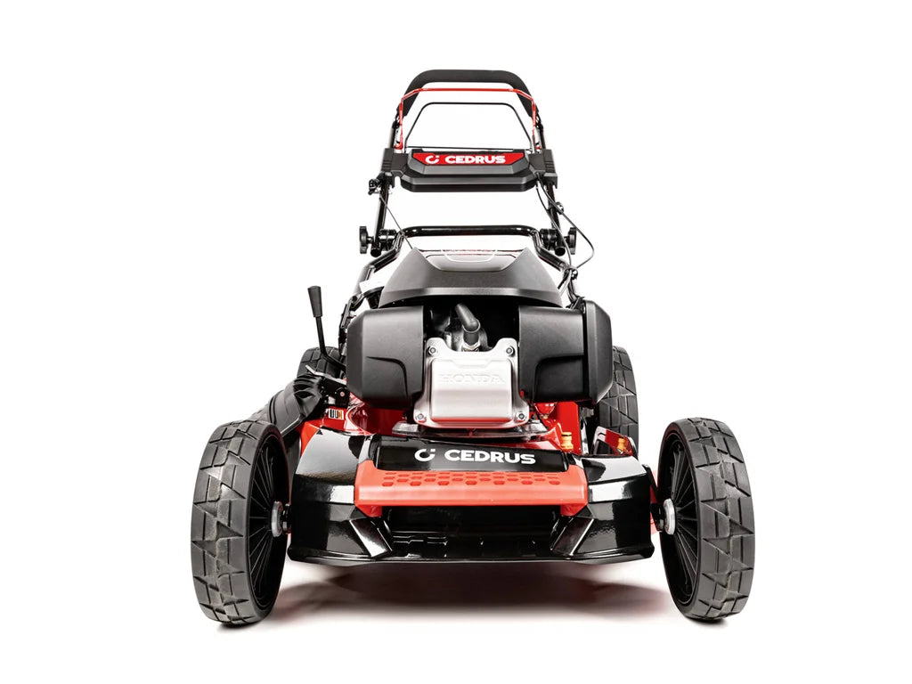 Hahn & Sohn Cedrus KS53S-H AL