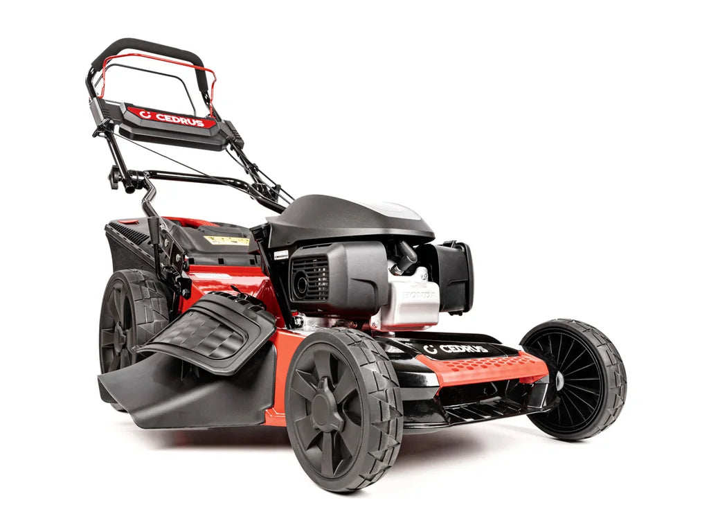 Hahn & Sohn Cedrus KS53S-H AL