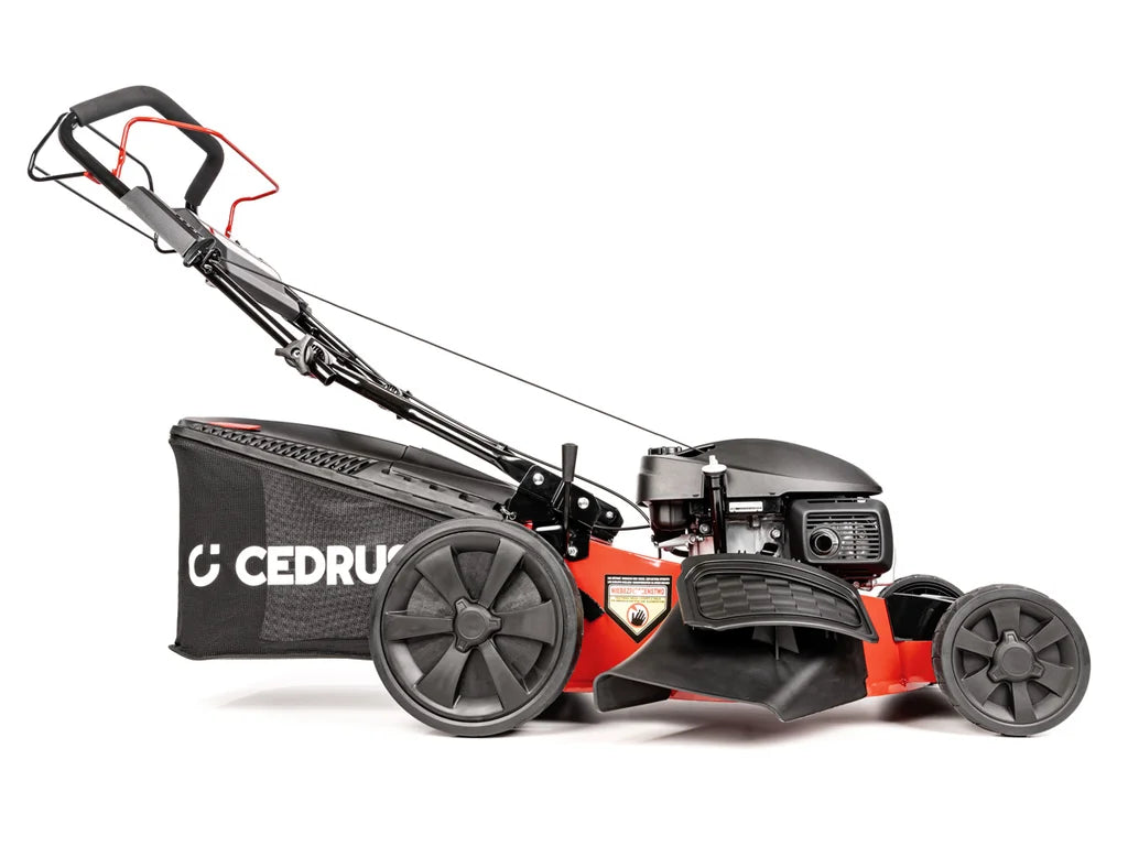 Hahn & Sohn Cedrus KS53S-H AL