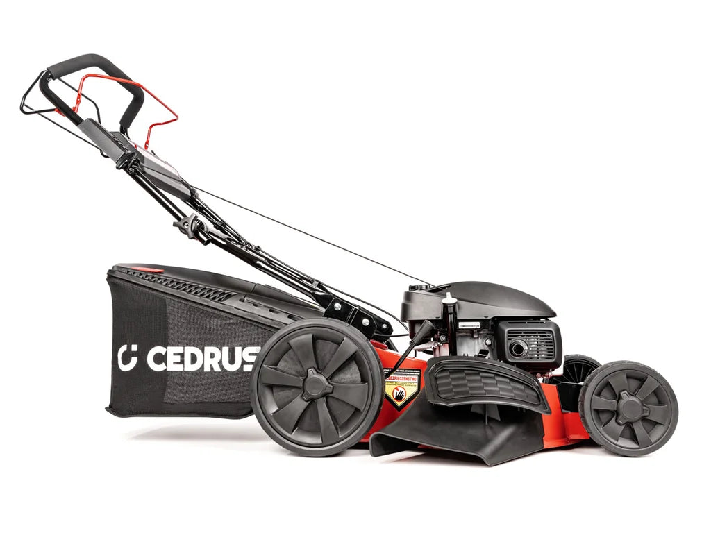 Hahn & Sohn Cedrus KS53S-H AL