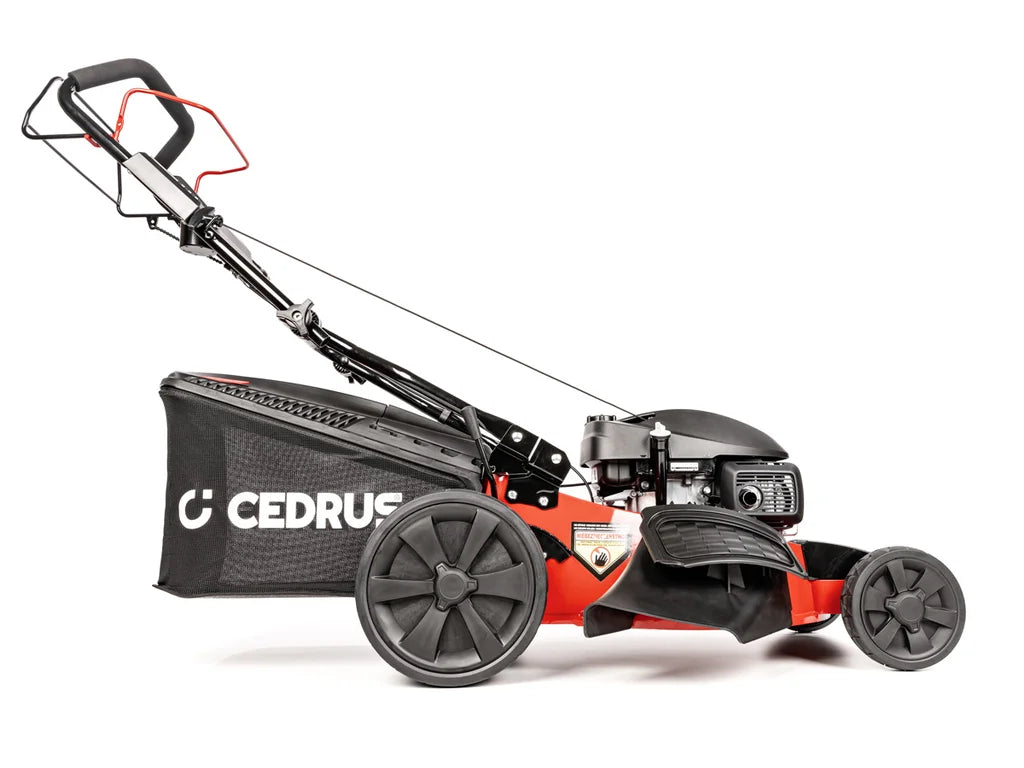 Hahn & Sohn Cedrus KS53S-H AL