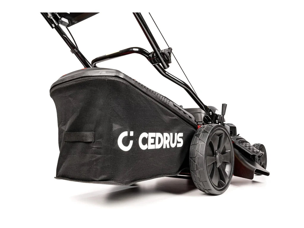 Hahn & Sohn Cedrus KS53S-H AL