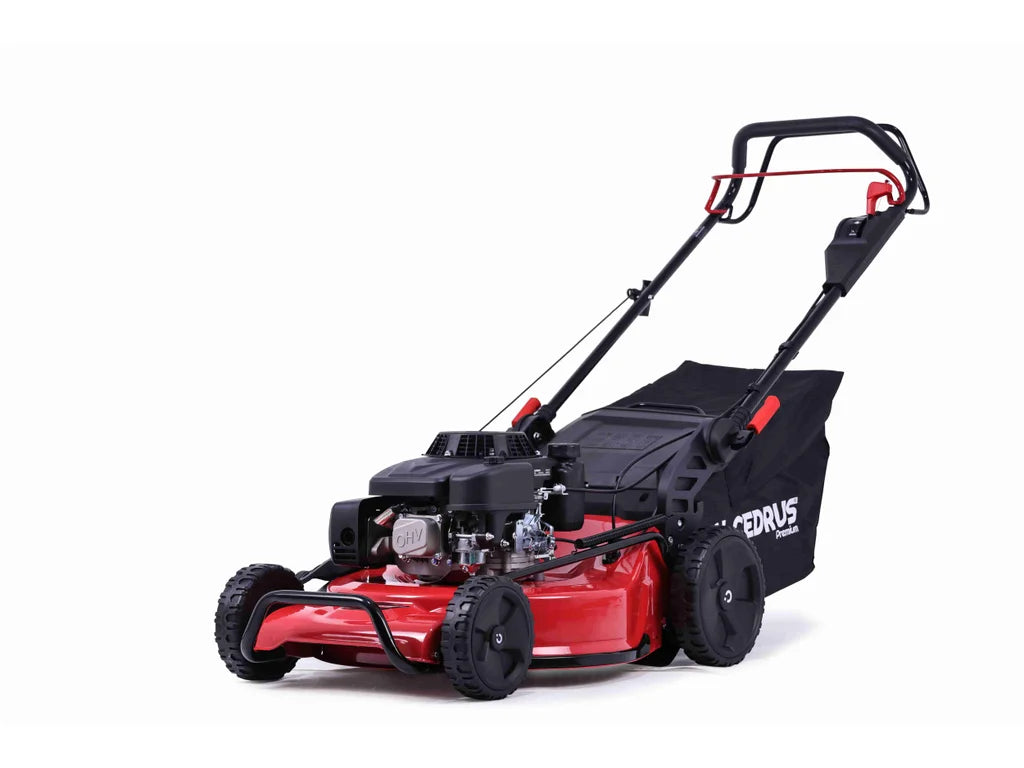Hahn & Sohn Cedrus LP53S-L
