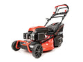 Hahn & Sohn Cedrus KS53S-R